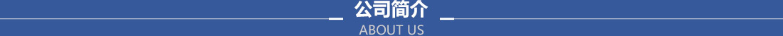 公司����?></div>
		<div   id=